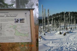 Schneeschuhgeher am Dreisessel und Steinernen Meer