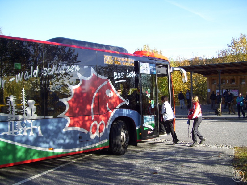 Die Igelbusse bringen ab 15. Mai die Wanderer und Ausflügler wieder zu den Hauptwanderzielen im Nationalpark Bayerischer Wald.