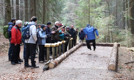 Nationalpark bietet wieder Waldführer-Ausbildung