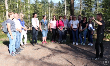 Touristiker nehmen Borkenkäfermanagement unter die Lupe