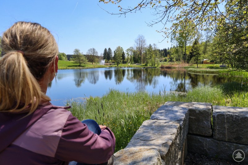 Entspannung pur: Blick auf den idyllischen Teich mit beleuchteter Fontäne im neugestalteten Kurpark Spiegelau. Eine Frau mit blondem Pferdeschwanz blickt über einen idyllischen Teich mit reflektierendem Wasser und Springbrunnen im neu gestalteten Kurpark Spiegelau. Umgeben ist die Szene von Wiesen, Bäumen und einer Steinbank im Vordergrund.