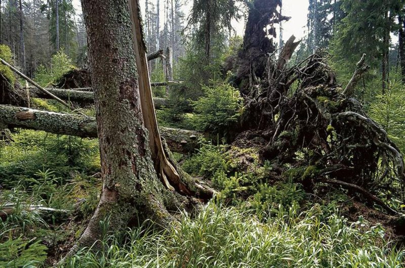 Flyer/Grafik zum Event: Wanderung zum Heidenstein am So., 17.05.2026 von 10:00 bis 16:00 Uhr