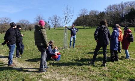 Einf&uuml;hrung in den Obstbaumschnitt auf Deggendorfer Streuobstwiese