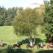 Reiten in Saldenburg