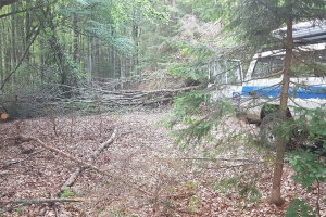 Glückliches Ende einer Vermisstensuche