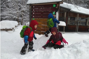 Winter-Olympiade und Spurensucher im Nationalpark