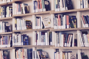 Kreisbibliothek Freyung unterstützt ab sofort Schüler, Lehrkräfte und Schulen während der Schulschließungen