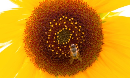 Wechsel von Regen- und Sonnenphasen im August