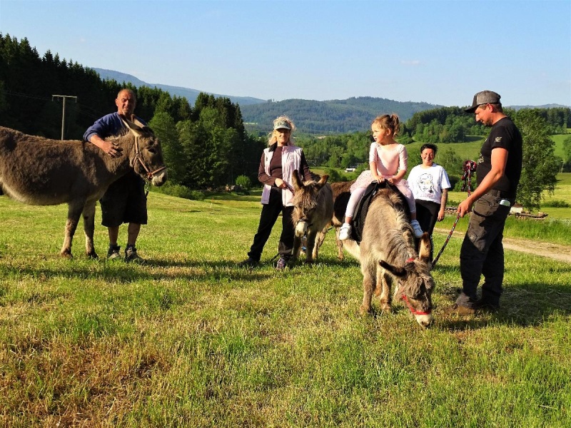 Flyer/Grafik zum Event: Eselführerschein mit Urkunde am Fr., 12.07.2024 - Fr., 13.09.2024 von 16:00 bis 17:30 Uhr