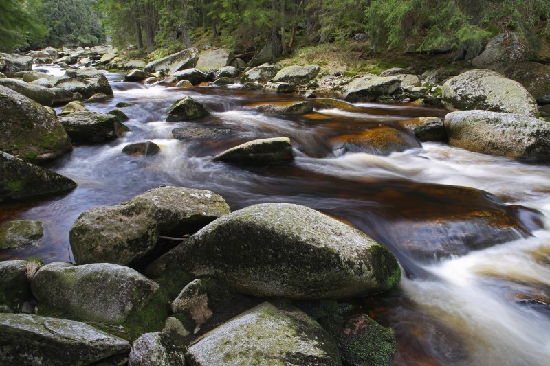 Flyer/Grafik zum Event: Grenzüberschreitende Wanderung zur Widra im Nationalpark Šumava 2025 am So., 27.07.2025 ab 09:15 Uhr