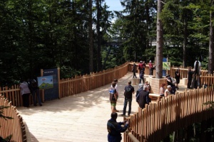 Waldinsel - Neue Plattform lädt zum Ausruhen und Lernen mitten in den Baumwipfeln des Bayerisch