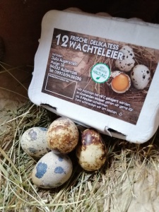 2 Schachteln Wachteleier