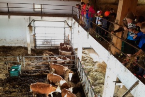 Bauernhofdiplom an 26 Ilzer Land-Kinder überreicht