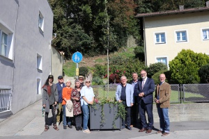 Stadt Passau verschönert Anger mit Bepflanzung