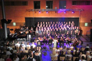 Sommerkonzert am Gymnasium Freyung- ein Genuss für Ohren und Augen