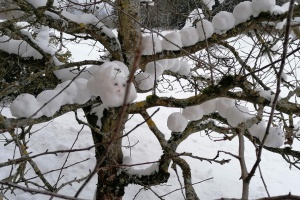 Schüler vor Depressionen schützen - Kunstunterricht im Lockdown