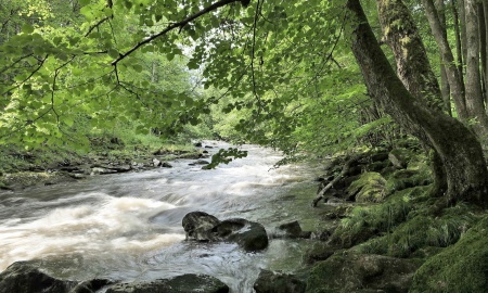 Frühjahrswetter 2022 im Bayerwald