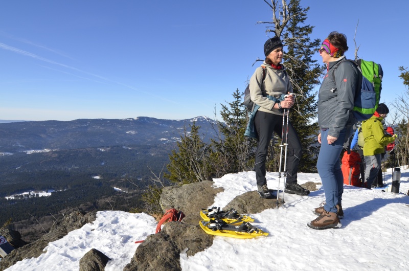 Flyer/Grafik zum Event: Mit Schneeschuhen auf den Großen Falkenstein am So., 19.02.2023 ab 10:00 Uhr