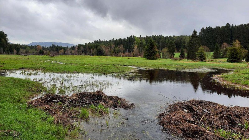 Flyer/Grafik zum Event: Von der Mautstelle zum Nationalparktor am Mi., 18.06.2025 - Mi., 16.07.2025 von 13:00 bis 16:00 Uhr