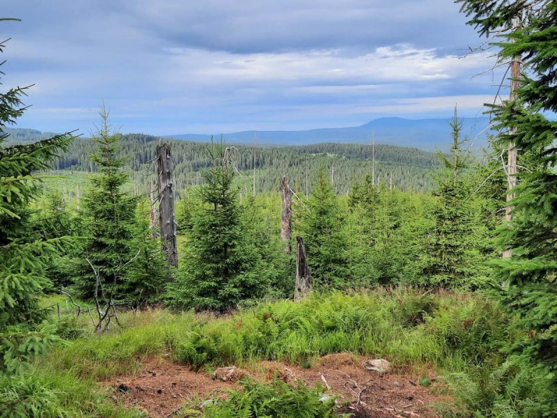 Flyer/Grafik zum Event: Nationalpark und Schöpfung - "Grenzen und Weite - den Blick in den Himmel" am So., 03.08.2025 von 09:40 bis 15:40 Uhr