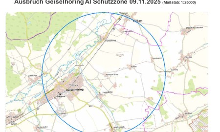 Geflügelpest in Geiselhöring: Schutz- und Überwachungszonen eingerichtet