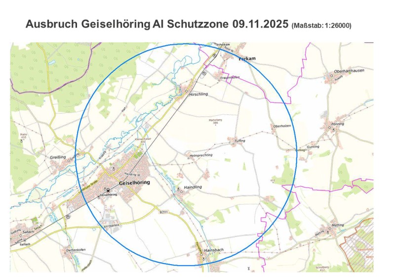 Schutzzone im Umfeld von Geiselhöring nach dem bestätigten Geflügelpest-Fall am 9. November 2025. Die Karte stellt die Schutzzone rund um Geiselhöring dar, die im Zuge des Geflügelpest-Ausbruchs eingerichtet wurde. Der Kreis markiert einen Radius von drei Kilometern um den betroffenen Betrieb.