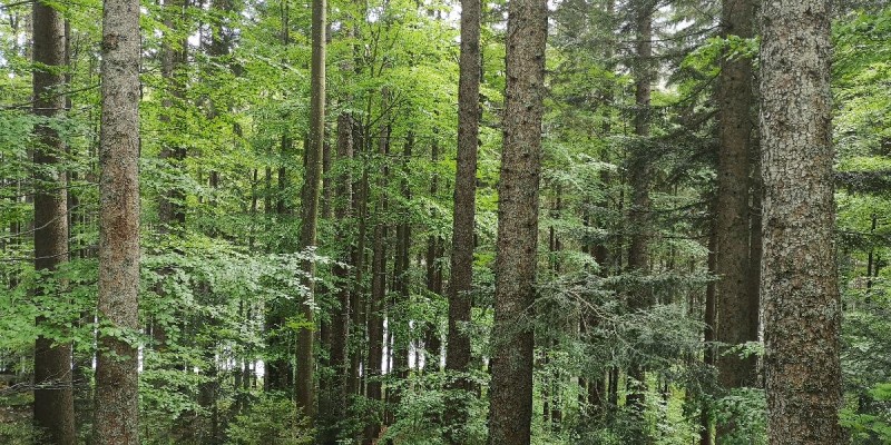 Flyer/Grafik zum Event: Frühlingswanderung zum Geistlichen Stein am So., 19.04.2026 von 10:00 bis 14:00 Uhr