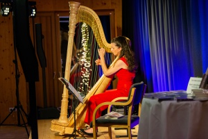 Wahre Begebenheiten aus dem Leben einer Konzert-Harfenistin