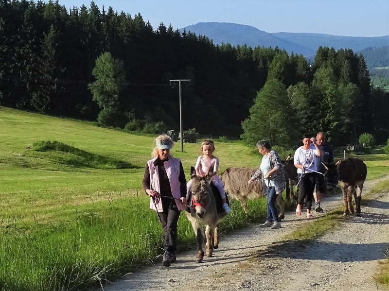 Flyer/Grafik zum Event: Esel-Tour rund um Glasberg/Zwiesel am Mo., 01.01.2024 - Di., 31.12.2024