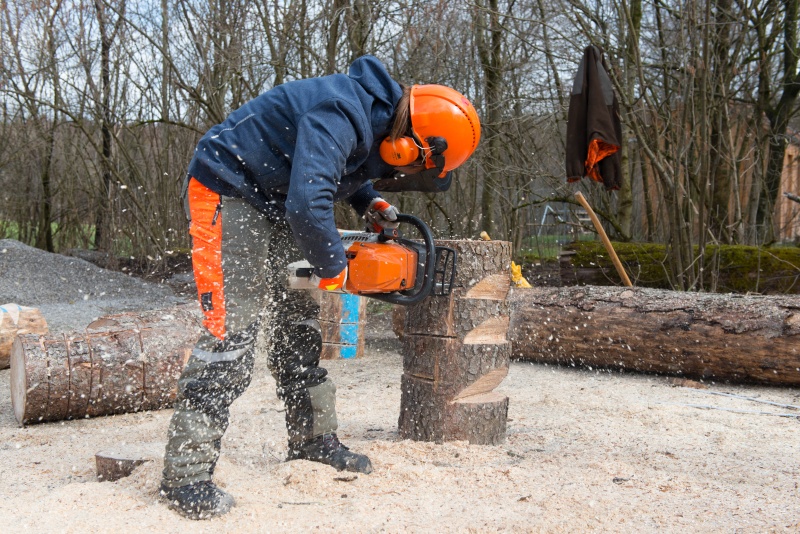 Flyer/Grafik zum Event: 50 angehende Landwirte treten zum forstlichen Wettbewerb an am Do., 14.03.2024 ab 10:00 Uhr