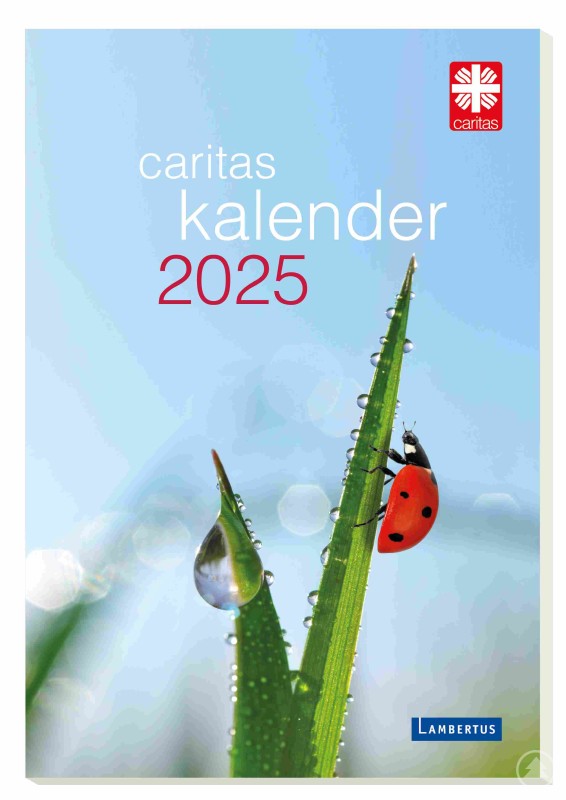 Die neuen Caritas-Kalender für 2025. Impulse für den Alltag. 365 Kalenderblätter im Caritas Tages-Abreißkalender und im Kalenderbuch Monat für Monat Inspiration, Unterhaltung und Wissenswertes.