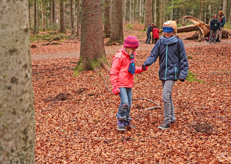 Mit Spiel und Spaß können Kinder die herbstlichen Nationalparkwälder erkunden. Zwei Kinder spielen im herbstlichen Wald. Sie tragen bunte Jacken und Mützen und halten sich an den Händen, während sie über den mit Laub bedeckten Waldboden balancieren. Im Hintergrund sind weitere Personen zwischen den Bäumen zu sehen.