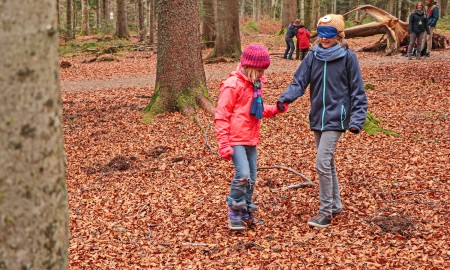 Spannende Abenteuer im bunten Wald