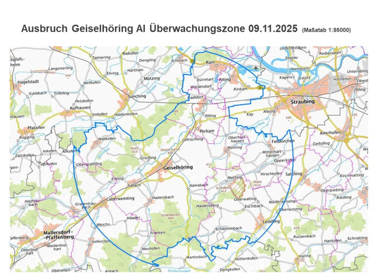 Überwachungszone nach dem Geflügelpest-Ausbruch in Geiselhöring am 9. November 2025. Die Karte zeigt die Überwachungszone rund um Geiselhöring nach dem Ausbruch der Geflügelpest am 9. November 2025. Die betroffenen Gebiete sind im Umkreis von etwa zehn Kilometern markiert.