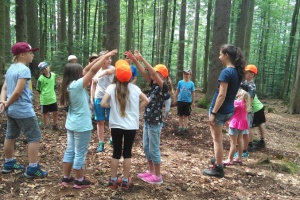 In den Sommerferien raus in den wilden Wald