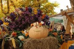 Flyer/Grafik zum Event: Erntedankfest und Herbstmarkt mit Festzug am So., 02.10.2016 von 10:00 bis 17:00 Uhr