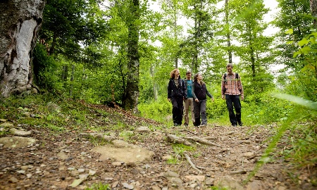 Neue Zählgeräte im Einsatz