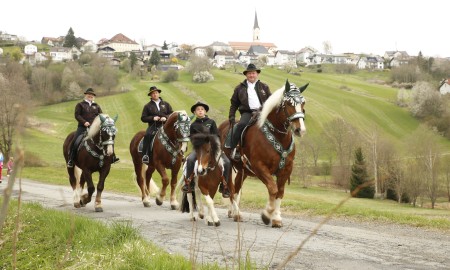 Palmritt in Sch&ouml;nberg: Rosserer bitten um Segen