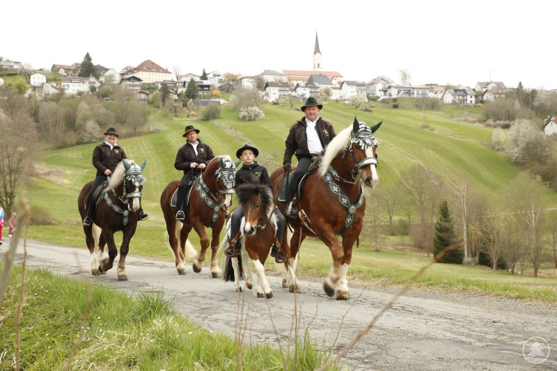 Die Rosserer lassen Schönberg hinter sich, um in Kirchberg an den Einzug Jesu in Jerusalem zu erinnern und sich den Segen für das Jahr fest im Sattel zu holen. Mehrere Reiter in traditioneller Kleidung ziehen mit ihren geschmückten Pferden durch die Landschaft in Richtung Kirchberg.