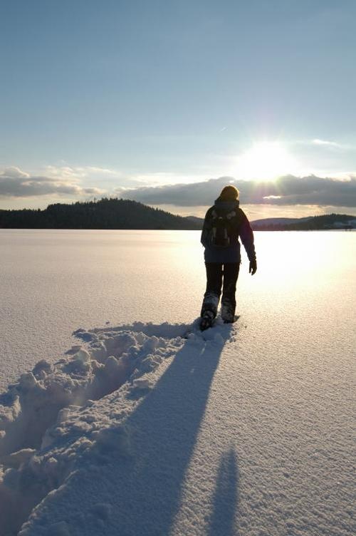 Flyer/Grafik zum Event: Schneeschuhwanderung am So., 14.03.2021 von 10:00 bis 13:00 Uhr