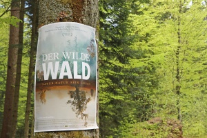 „Der wilde Wald“ feiert Premiere