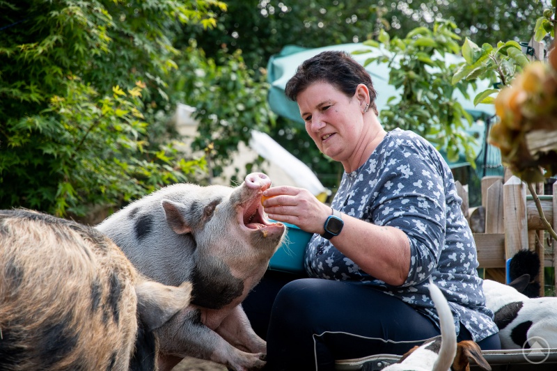 Angelika Gierke beim Füttern der Schweine