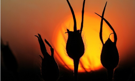 Sommerwetter für den Bayerwald 2022