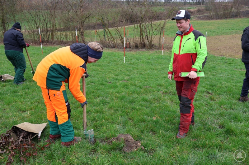 Auch die richtige Pflanzung von Setzlingen mit dem Hohlspaten wurde beim Wettbewerb beurteilt