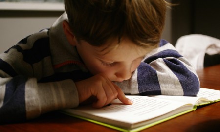 Lese- und Sprachpaten fördern über 80 Kinder im Landkreis