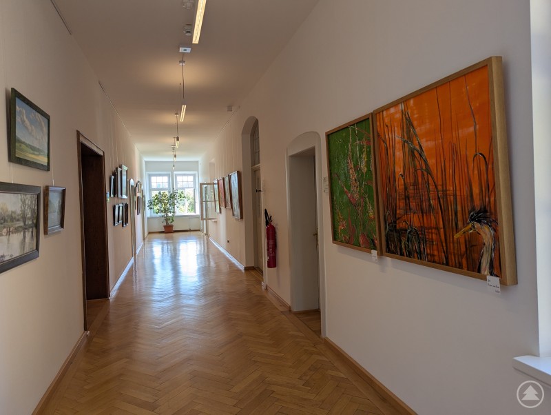 Kunstausstellung Rathaus Metten 