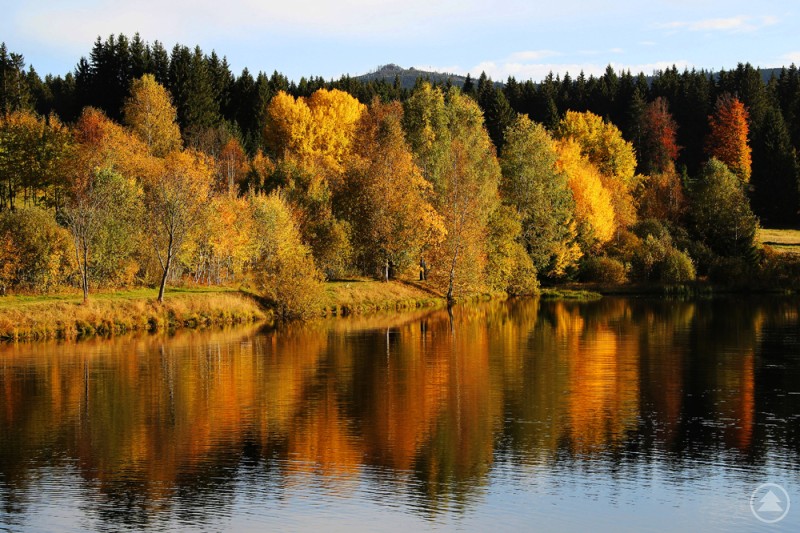 Das Bild zeigt eine herbstliche Landschaft am Ufer eines Sees. Die Bäume in kräftigen Gelb-, Orange- und Grüntönen spiegeln sich im ruhigen Wasser, während im Hintergrund ein dichter, dunkler Nadelwald zu sehen ist. Die Szene wirkt friedlich und farbenprächtig – ein typisches Motiv eines klaren Herbsttages.