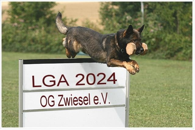 Flyer/Grafik zum Event: Landesgruppenausscheidung LG Bayern - Süd am Fr., 16.08.2024 - So., 18.08.2024