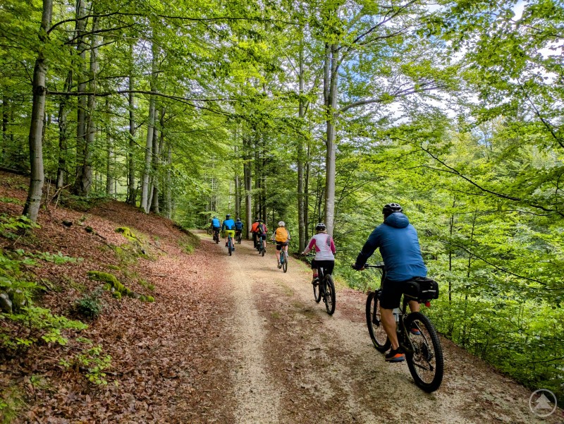 Teilnehmer einer E-Bike-Gruppe genießen die Fahrt durch den Bayerischen Wald beim letztjährigen 4-Gänge-Radeln. Eine Gruppe von E-Bikern fährt auf einem Waldweg durch dichtes, grünes Blätterdach im Bayerischen Wald.