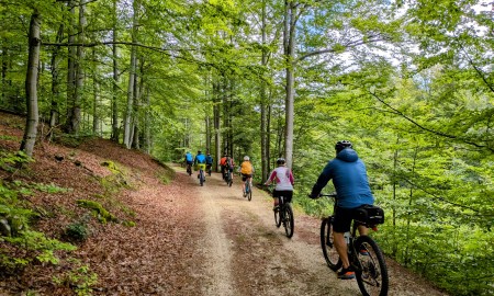 5-Gänge-Radeln 2025: Kulinarische E-Bike-Tour durch den Nationalpark